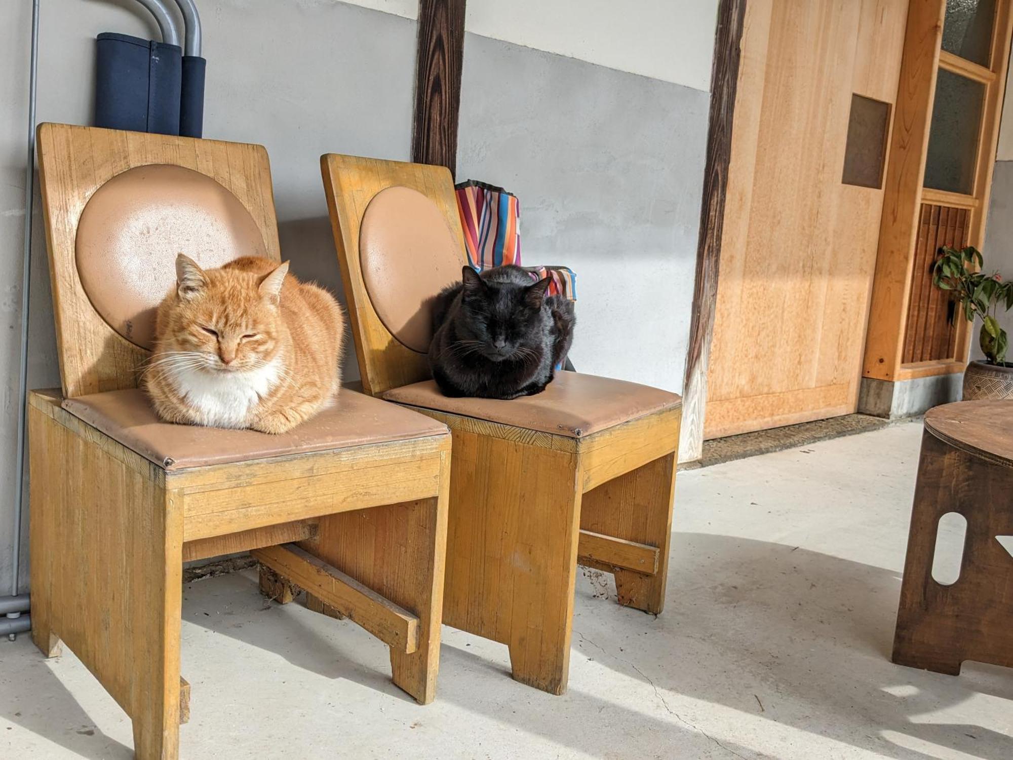 猫と図書館のある宿 草地家 Kusachike Minamiawaji Bagian luar foto