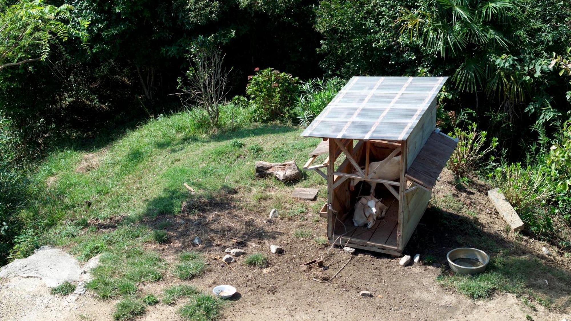 猫と図書館のある宿 草地家 Kusachike Minamiawaji Bagian luar foto
