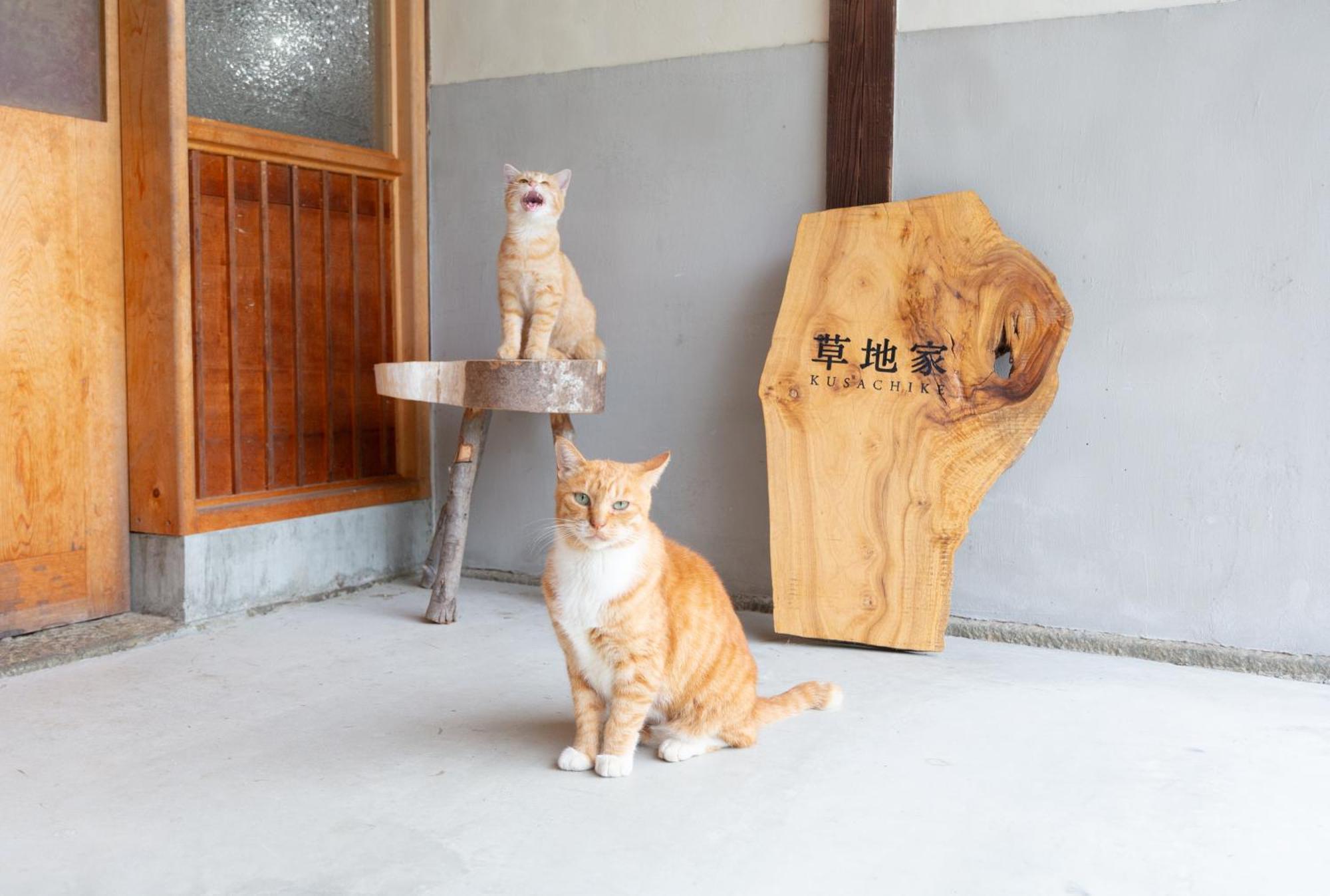猫と図書館のある宿 草地家 Kusachike Minamiawaji Bagian luar foto